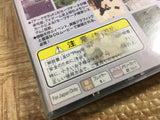 Arc The Lad 2 SONY PS1 Japan - FJ7938