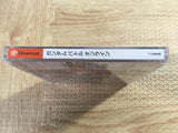 Gundam Battle Online SEGA DreamCast Japan - FJ8017