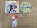 Happy Lesson SEGA DreamCast Japan - FJ8026