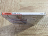 Mizuiro SEGA DreamCast Japan - FJ8056