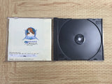 AnEarth Fantasy Stories The First Volume SEGA SATURN Japan - FJ8140