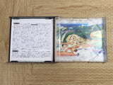 Breath Of Fire 4 SONY PS1 Japan - FJ8310