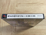 Midori No Makibao SONY PS1 Japan - FJ8455