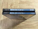 Lunar 2 Eternal Blue SEGA SATURN Japan - FJ8480