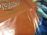 Panzer Dragoon SEGA SATURN Japan - FJ8606