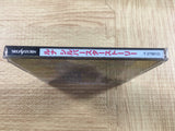 Lunar Silver Star Story SEGA SATURN Japan - FJ8613