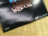 Shining Wisdom SEGA SATURN Japan - FJ8638