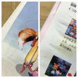 Linkle Liver Story SEGA SATURN Japan - FJ8660