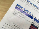 Riglord Saga SEGA SATURN Japan - FJ8694