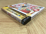 Mahou Kishi Rayearth SEGA SATURN Japan - FJ8713