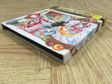 Mahou Kishi Rayearth SEGA SATURN Japan - FJ8713