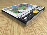 Mahou Kishi Rayearth SEGA SATURN Japan - FJ8714