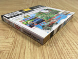 Mahou Kishi Rayearth SEGA SATURN Japan - FJ8714