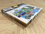 Mahou Kishi Rayearth SEGA SATURN Japan - FJ8715