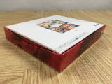 Langrisser IV 4 Special Package SEGA SATURN Japan - FJ8717