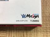 Langrisser IV 4 Special Package SEGA SATURN Japan - FJ8717