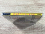 Virtua Fighter Kids SEGA SATURN Japan - FJ8748