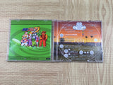 Netto Golf SEGA DreamCast Japan - FJ8787