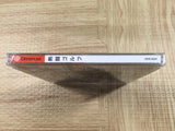 Netto Golf SEGA DreamCast Japan - FJ8787