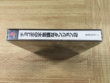 Chocobo No Fushigi Dungeon 2 SONY PS1 Japan - FJ8814