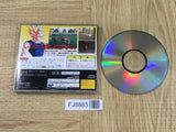 Dragon Ball Z Idainaru Dragon Ball Densetsu SEGA SATURN Japan - FJ8883