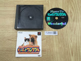 Nyan To Wonderful SONY PS1 Japan - FJ8893