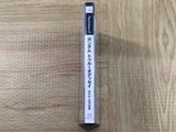 Gundam True Odyssey Ushinawareta G No Densetsu SONY PS2 Japan - FJ8901
