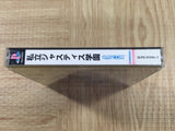 Rival Schools Legion Of Heroes SONY PS1 Japan - FJ8927
