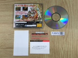 Shining Wisdom SEGA SATURN Japan - FJ8972