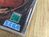 Panzer Dragoon Zwei SEGA SATURN Japan - FJ8986