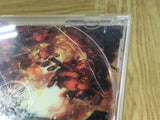 Dynamite Deka 2 SEGA DreamCast Japan - FJ8993