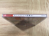 Dynamite Deka 2 SEGA DreamCast Japan - FJ8993