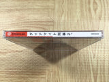 Dynamite Deka 2 SEGA DreamCast Japan - FJ8994