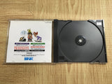 Shinsetsu Samurai Spirits Bushidou Retsuden NEO GEO CD Japan - FJ9093