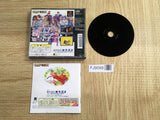 Street Fighter Zero SONY PS1 Japan - FJ9099