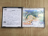 Breath Of Fire 4 SONY PS1 Japan - FJ9118