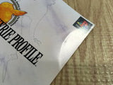 Valkyrie Profile SONY PS1 Japan - FJ9123