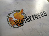 Valkyrie Profile SONY PS1 Japan - FJ9124