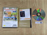 Harvest Moon Oh! Wonderful Life Best SONY PS2 Japan - FJ9253 - Photo 2