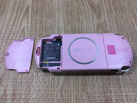 GD8338 Plz Read Item Condi PSP-3000 AKB48 Ver. SONY PSP Console Japan