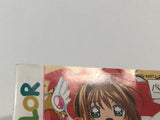 HA1317 Manual Only - Cardcaptor Sakura GameBoy Game Boy Japan