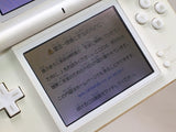 LG2885 Plz Read Item Condi Nintendo DS Lite Crystal White Console Japan