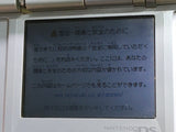 LG4024 Plz Read Item Condi Nintendo DS Platinum Silver Console Japan