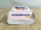 LG4039 GameBoy Advance Console Box Only Console Japan