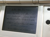 LG4215 Plz Read Item Condi Nintendo DS Platinum Silver Console Japan