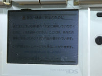 LG4359 Plz Read Item Condi Nintendo DS Platinum Silver Console Japan