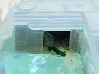 LG4364 Not Working Wonder Swan Skeleton Green Bandai Console Japan