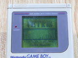 LG4400 Plz Read Item Condi GameBoy Original DMG-01 Game Boy Console Japan