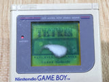 LG5388 Plz Read Item Condi GameBoy Original DMG-01 Game Boy Console Japan