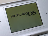 LG5857 With Defects - Nintendo DS Lite Gross Silver Console Japan